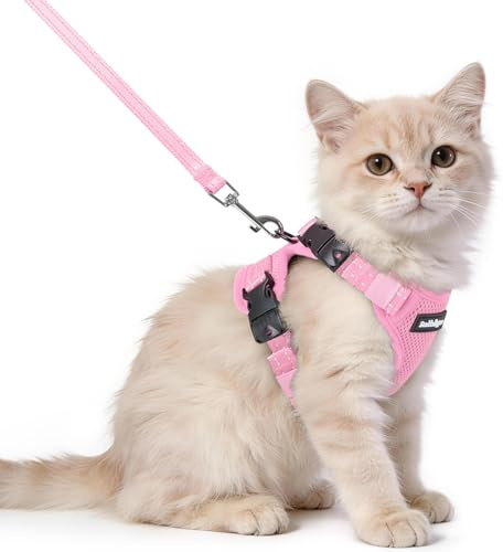 rabbitgoo Katzengeschirr mit Leine mit Hals-Klickverschluss, XS, Rosa | Kein Über-Kopf-Ziehen, Ausbruchsicher, Verriegelte Schnallen, Weiches Air-Mesh, Reflektierend, für Kätzchen & kleine Katzen