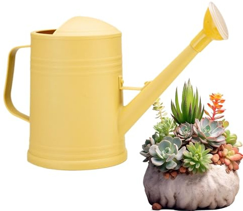 Annaffiatoio da Giardino - Contenitore Irrigazione 2L con Beccuccio Lungo | Capiente Serbatoio per Cura Verde con Testina Diffusore | Impugnatura Comoda | Ideale per Piante da Interno, Fiori