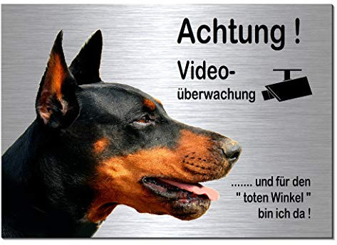 Dobermann-Videoüberwachung-Mit Eigenbild-Hund-Schild-Hundeschild-30 x 20 cm-Aluminium Edelstahloptik-Hunde-Tierschild-Warnschild-Hinweisschild-133-19