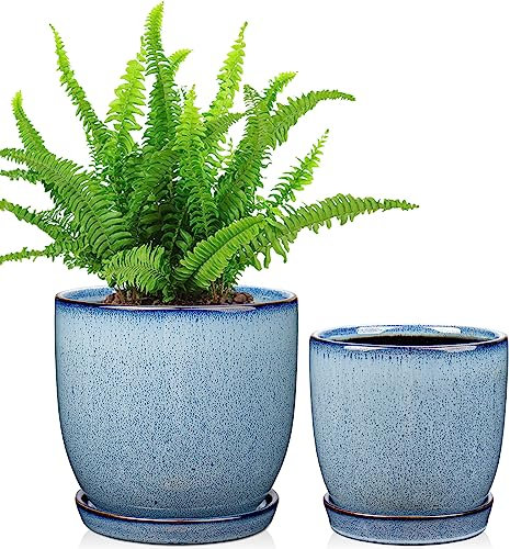Oairse Set of 2 Ceramic Plant Pots 12CM 15CM Indoor Ceramic Planter with Drainage Holes and Saucers Tray Decorative Flower Pots Blue Garden Pot for Succulent Cactus House Plants