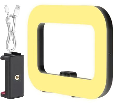 Portable Selfie Ring Light With Stabilizer, 8000mAh Rechargeable LED Video Light For Smartphone & Camera | Handheld Fill For Content Creation, Outdoor, And Professional Makeup