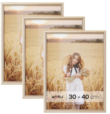 WOLTU Bilderrahmen 30x40cm 5er Set Fotorahmen Holzrahmen mit Passepartout, zum vertikalen oder horizontalen Aufhängen/Aufstellen, Posterrahmen Collage Wanddeko, Gold | Gold, Front aus PS-Platte, Posterrahmen zum vertikalen oder horizontalen Aufhängen und Aufstellen, Collage Wanddeko