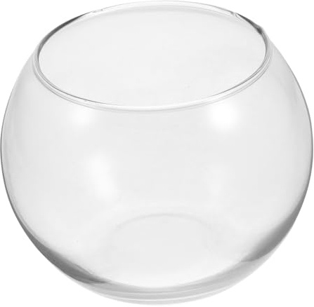 Angoily Bol à Poisson Rond Verre Transparent pour Bureau et Maison Vase à Bulle Multifonction pour Plantes Hydroponiques Décoration Écologique Élégante