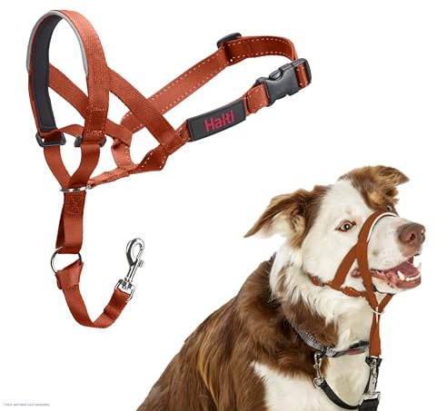 HALTI Headcollar - För att hindra din hund från att dra i kopplet. Justerbar och lätt, med vadderat näsband. Anti-draghalsband för hundträning för medelstora hundar (Storlek 2, Bränd Apelsin)