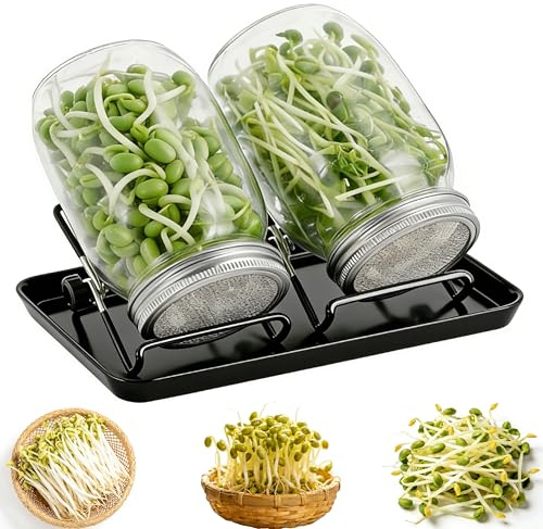 Sprossenglas & Keimglas Set – 1 Quart Weithalskannen mit Edelstahlsieb, Keimglas für Sprossen, Sprossen Anzuchtset für Brokkoli, Alfalfa, Mungbohnen – ideal für Sprossen Samen & Sprouting