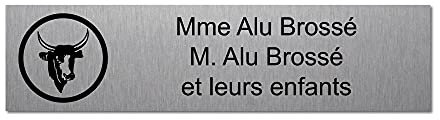 Mygoodprice - Placa grabada para nombre y número de buzón con cabeza de toro, autoadhesiva, 10 x 2,5 cm, personalizable, 1 a 3 líneas de aluminio cepillado