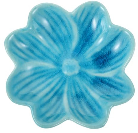IWOWHERO Disque à Huile Aromathérapeutique Céramique Plat pour Mélange Huiles Essentielles pour Spas Salons Et Massages Thaïlandais Accessoire Élégant pour Diffusion Aromas