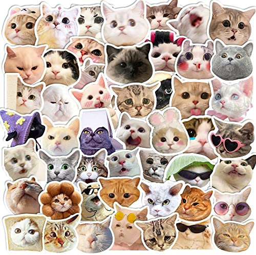 200 Stück Katzen-Aufkleber-Set, Kawaii-Katzen-Meme-Aufkleber für Kinder, Teenager, Erwachsene, Vinyl, wasserdichte Aufkleber für Wasserflasche, Laptop, Skateboard, Telefon, Gitarre, Stoßstange,