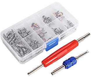 102pcs Coche Válvula de aire acondicionado de automóvil Núcleo de válvula de neumático Vástago Núcleos de aire acondicionado Kit de caja de válvula de aire acondicionado