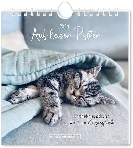 Auf leisen Pfoten - Postkartenkalender 2024 - Grafik Werkstatt - Wandkalender - Monatsplaner mit Postkarten - 16 cm x 17 cm