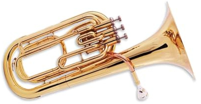 Tenorhorn Euphonium B Dur Anfängerspiel Anfänger-Euphonium(3/4)