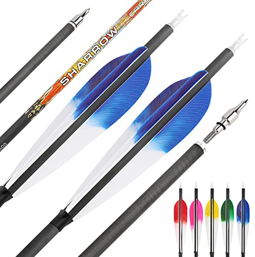 surwolf 31 Zoll Reine carbonpfeile Bogenschießen Jagdpfeile Spine 250 300 350 400 500 600 mit natürlichen Feder für Compound und Recurve und Langbogen 12 Stück (blau, 600)