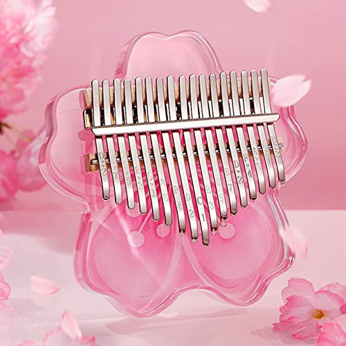 BOTOWI Kalimba 17 Tasten Daumenklavier Musikinstrumente, Transparentes Acryl Finger Klavier Instrument mit Eva Wasserdichtes Hartes schützendes Etui für Anfänger,Pink 17 Keys