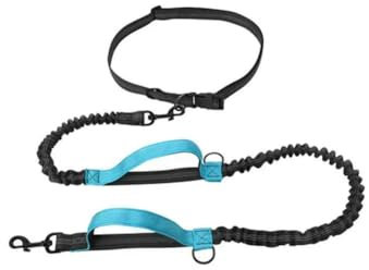 Reflektierende Leine, Zugseil, Haustier, Hund, Laufgürtel, elastische Hände, Joggen, Ziehen, Hundeleine, Metall-D-Ring-Geschirr