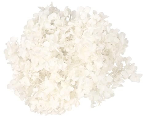 LIFKICH 1paquete Preservadas De Hortensia Secas para Manualidades Pétalos Eternos para Decoraciones De Fiestas y Arte De Uñas
