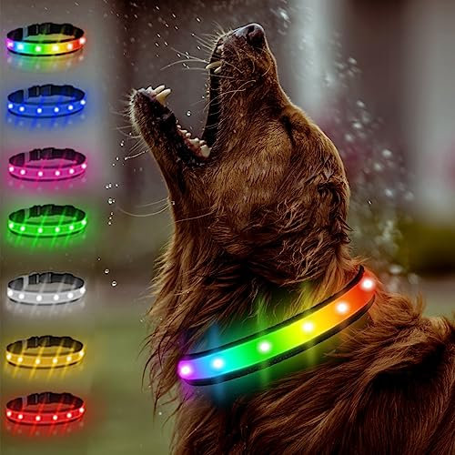 TRIPOLACO Leuchthalsband Hund Aufladbar, Hundehalsband Leuchtend wasserdichte, Mehrfarbig Einstellbare Leuchthalsband für Kleine Mittlere Große Hunde, Schwarz - M