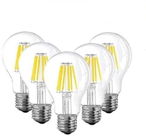 Fengyan Home Bulbs Bassa tensione 6W Edison Globe Bulbi, 12V a 24V DC ha condotto la lampada A19 filamento della lampadina Daylight Bianco 4500K bianco caldo 2700K E26 E27 (10 pezzi) Lampada domestica