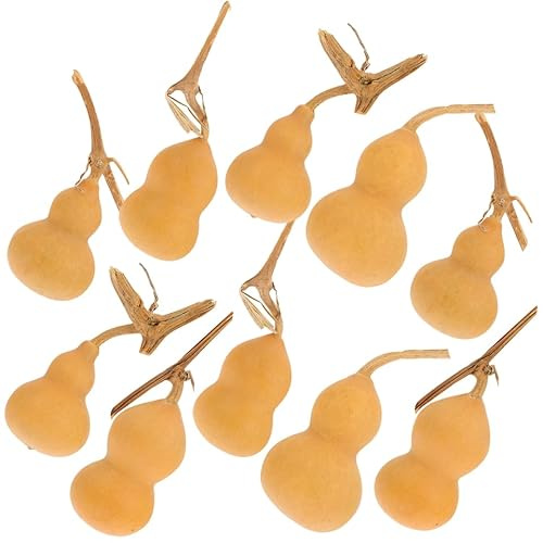 Garneck 20 Pcs Small Dried Gourds for Home Decorating: Natural Gourds Ornament for Crafts Cute Mini Cucurbit Adornments Chinese Hu Lu for Desktop, Office, Living Room, Shop Decor(4-6cm)