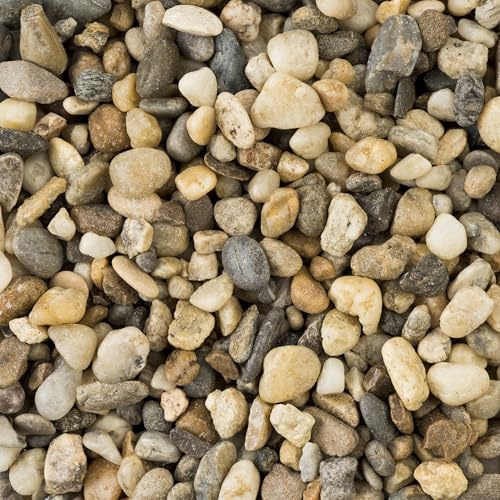 matches21 HOME & HOBBY Ciottoli naturali colorati 5 kg per vasi e decorazioni, ciottoli 5 – 8 mm – Pietre decorative per acquario, giardino e laghetto