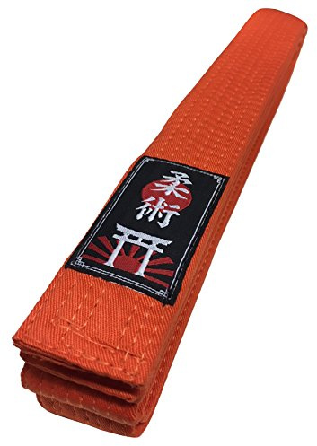Budodrake Ju Jutsu/Jiu-Jitsu Gürtel orange (300)