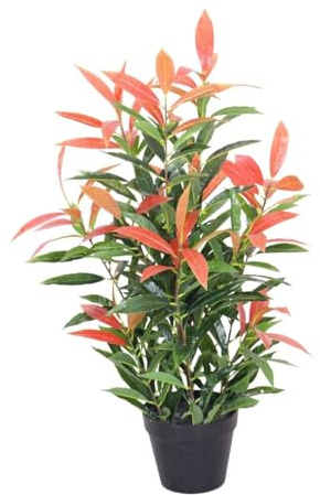 Lacers SMARAGDLINE Pflegeleichte künstliche Glanzmispel –Photinia 80cm, realistische Optik, Dekoration für Wohnzimmer, Balkon und Büroräume- echtwirkende Blätter & Blüten ohne spezielle Pflege