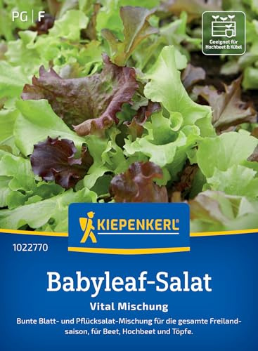 Kiepenkerl Babyleaf-Salatsamen Vital Mischung 102277 | schnelle Ernte, junge Blätter, vitaminreich, einfache Aussaat, ideal für Beet und Balkon, mehrfach schneidbar