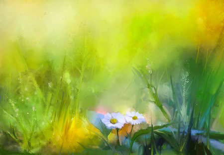 adrium Acryl-Bild 100 x 70 cm: Ölgemälde Natur grünes Gras Blumen Pflanzen. Handbemaltes weißes Gänseblümchen, Pastellblumen und geringe Schärfentiefe. Verschw(46034704)