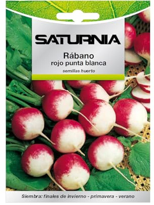 Semillas Huerto Rabano Rojo Grande. Rabanito Punta Blanca (Raphanus sativus radiciula)
