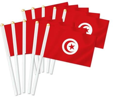 Lot de 25 drapeaux de Tunisie Handheld, décor tenu à la main, bannière de décoration à la main Tunisia