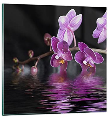 Bilder auf Glas Asien exotisch orchidee blume Glasbild 30x30cm Wandbilder Dekoration Wohnzimmer Schlafzimmer Küche Deko Klein Wanddeko Bild im Glas Wand Kunstdruck Art Modern Wall Decor GAC30x30-2312