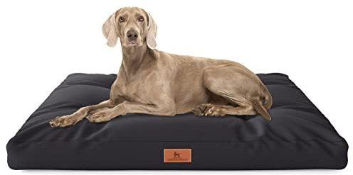 Knuffelwuff Hundekissen Gatsby aus Oxford-Gewebe 75 x 50cm Schwarz - rutschfeste Unterboden - leicht zu reinigen - für große, mittelgroße und kleine Hunde