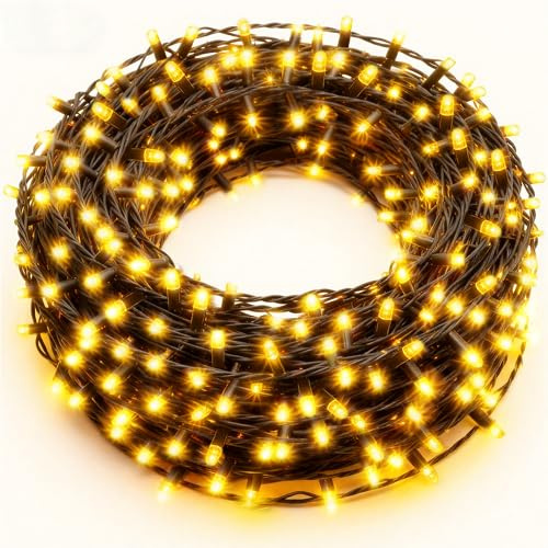 Zichaojia Lichterkette Außen 10m 100 LED mit 8 Modi, Timer und Speicherfunktion – Für Lichterkette Weihnachtsbaum, Lichterkette Innen, Weihnachten, Garten, Balkon und Party (Warmweiß)