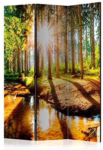 murando Akusticher Raumteiler Wald Foto Paravent 135x172 cm beidseitig auf Vlies-Leinwand bedruckt Akustikschaum Trennwand Spanische Wand Sichtschutz Home Office Bäume Natur Botanik Sonne c-B-0267-z-b