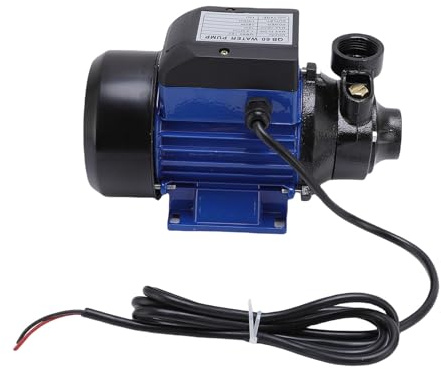 RASTKY Potente Pompa Solare per Trasferimento Acqua Pompa Booster Irrigatore Elettrico Silenzioso per Laghetto da Giardino Lega di Alluminio 180W 15m Testa Giunto per Tubo da 1 Pollice
