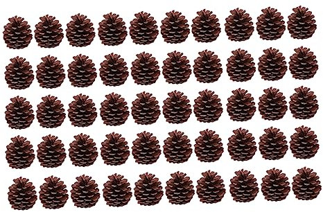 POPETPOP 50stücke Natürliche - Für Weihnachten Weihnachtsbaum-Dekoration Bastelmaterial Winterdekoration Tischschmuck Für Haus Und Küche