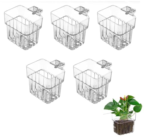 Molyorch 5 Pezzi Maceta Colgante Transparente para Plantas, Soporte de Pared para Hidroponía, Acuario y Balcón, Diseño Moderno sin Taladros, Fácil Instalación