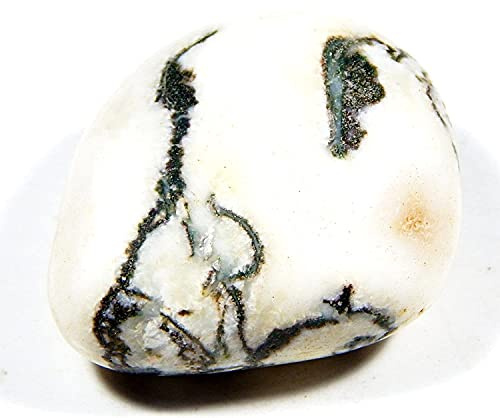 DENMOUS trädsagat 128,0 ct 1 st.B09CMPG1-DNM