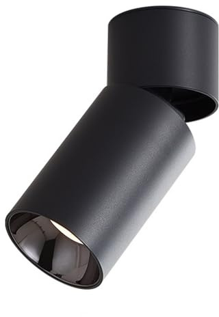 QTYQWC Fondo del Techo LED Flush Flush Montaje Dirección direccional de luz 355 ° + 90 ° Lámparas de Acento de rotación Luces giratorias de Pared para la habitación Viviente Galería de Arte