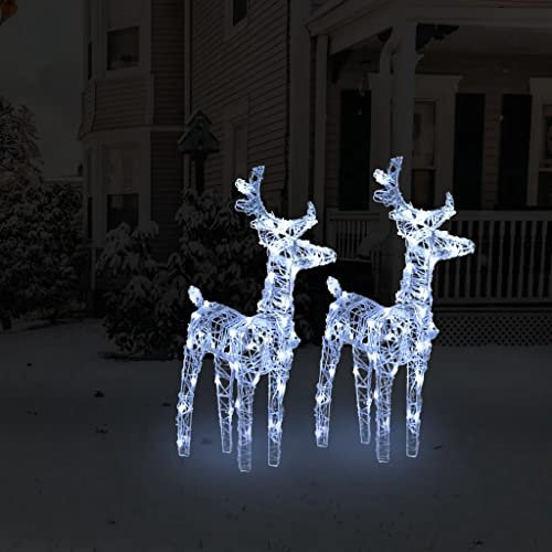 LED-Rentiere 2 STK. Kaltweiß 80 LEDs Acryl