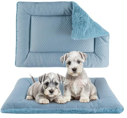 BVAGSS Hundebett Kleine Hunde Reversible, kühl und warm Matten Hundekissen, Waschbar Hundematte für klein mittel große Hunde XH080 (106x71cm,Blau)