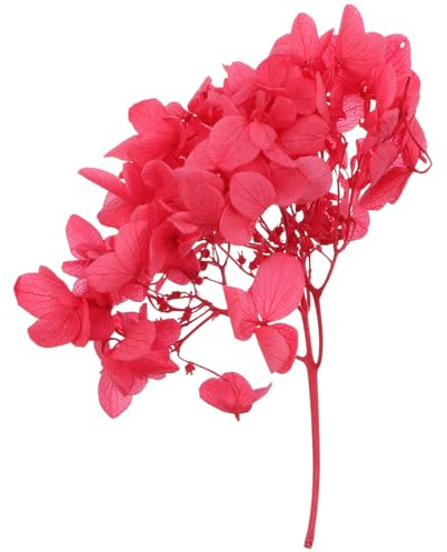 CONGARTENO Boîte de Fleurs Séchées Naturelles Hortensia Soi-même, Matériel Floral pour Loisirs Créatifs, Fleurs Immortelles Véritables Rouges, Décoration Maison et Présent DIY