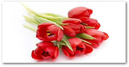 Tulup Picture Wall Art 100x50cm Image Printed Acryl Decorative Wall Picture Plastic/Acrylic Glass for Kitchen & Living Room Red tulips