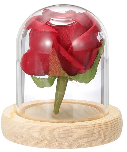 QUARKZMAN Glasglocke Ausstellungsdom 3.1 x 2.5 Glasdom Vitrine Natürlich | Holzständer, Tischglas Behältnis Deko Glasglocke, Für Pflanzen Home Deko, Büro Hochzeit Party