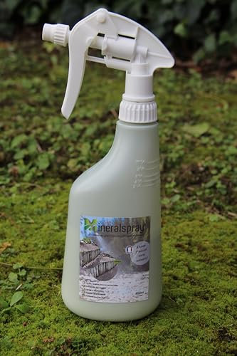 Colle sans Solvant pour granulats, graviers et cailloux extérieur et intérieur 650 ml (2 m²) - Protection Durable pour Petites Surfaces de Graviers Décoratifs - Mineralspray®