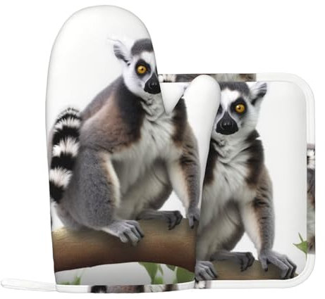 Ringtailed Lot de 2 maniques et maniques en silicone antidérapant résistant à la chaleur pour cuisine