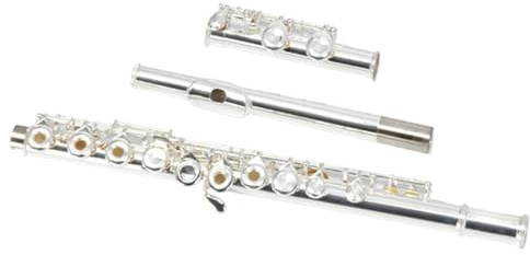 Querflöte Instrument 16-Loch-C-Flöte Im Offenen Versilberten Stil Mit E-Klappe Für Anfänger