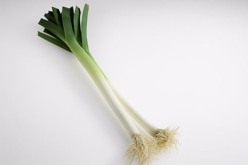 200 Graines de Poireau – Allium porrum - Mostruoso di Carentan 2 - Long et épais - Légume Jardin - 375