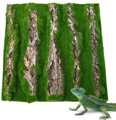 Bark väggbakgrund för ödlor – realistisk bakgrundspanel för gecko och kameleont | Klättringsdekoration för terrarium, vivarium layout, naturalistisk bur för utställning och komfort av