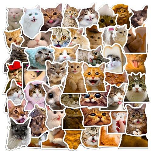 maxtachi 50 Pcs Cute Cat Stickers, Funny Cat Stickers Set for Suitcase Water Bottle Phone Case Laptop Computer Skateboard, Suitcase Stickers for Party Favors, School Reward