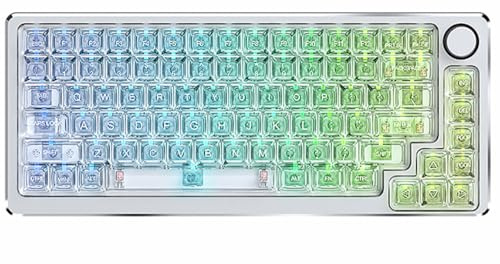 Good Homie Transparent Mechanical Keyboard,Triple Mode BT5.0/2.4GHz/USB-C, 83 Keys Triple Mode,RGB Full Color Lighting Effect,Support Hot Swap,for Windows/Mac